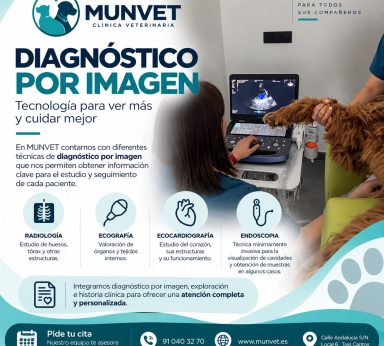 Sala de atención veterinaria de MUNVET en Tres Cantos